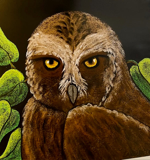 Night Owl Limited Edition